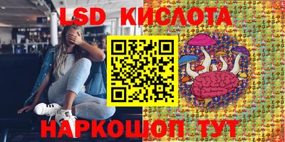 индика Рузаевка