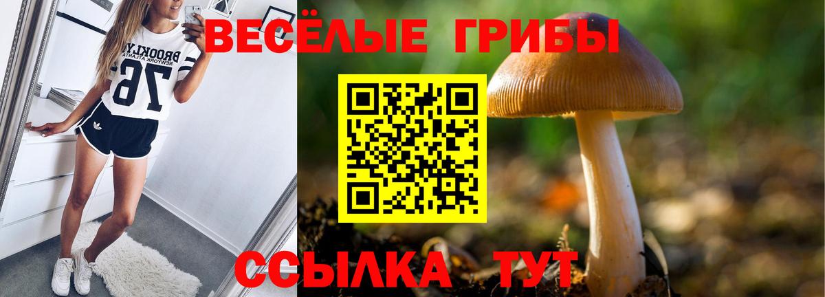 Псилоцибиновые грибы мицелий  Галлюциногенные грибы MAGIC MUSHROOMS  Вход с VPN  Сатка 